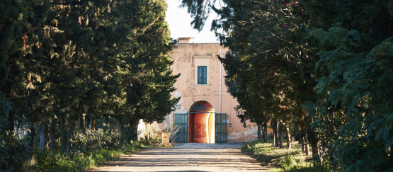 Tenuta Bocca di Lupo - jedinečná vína z Puglie