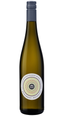 Sauvignon blanc trocken, Rheinhessen